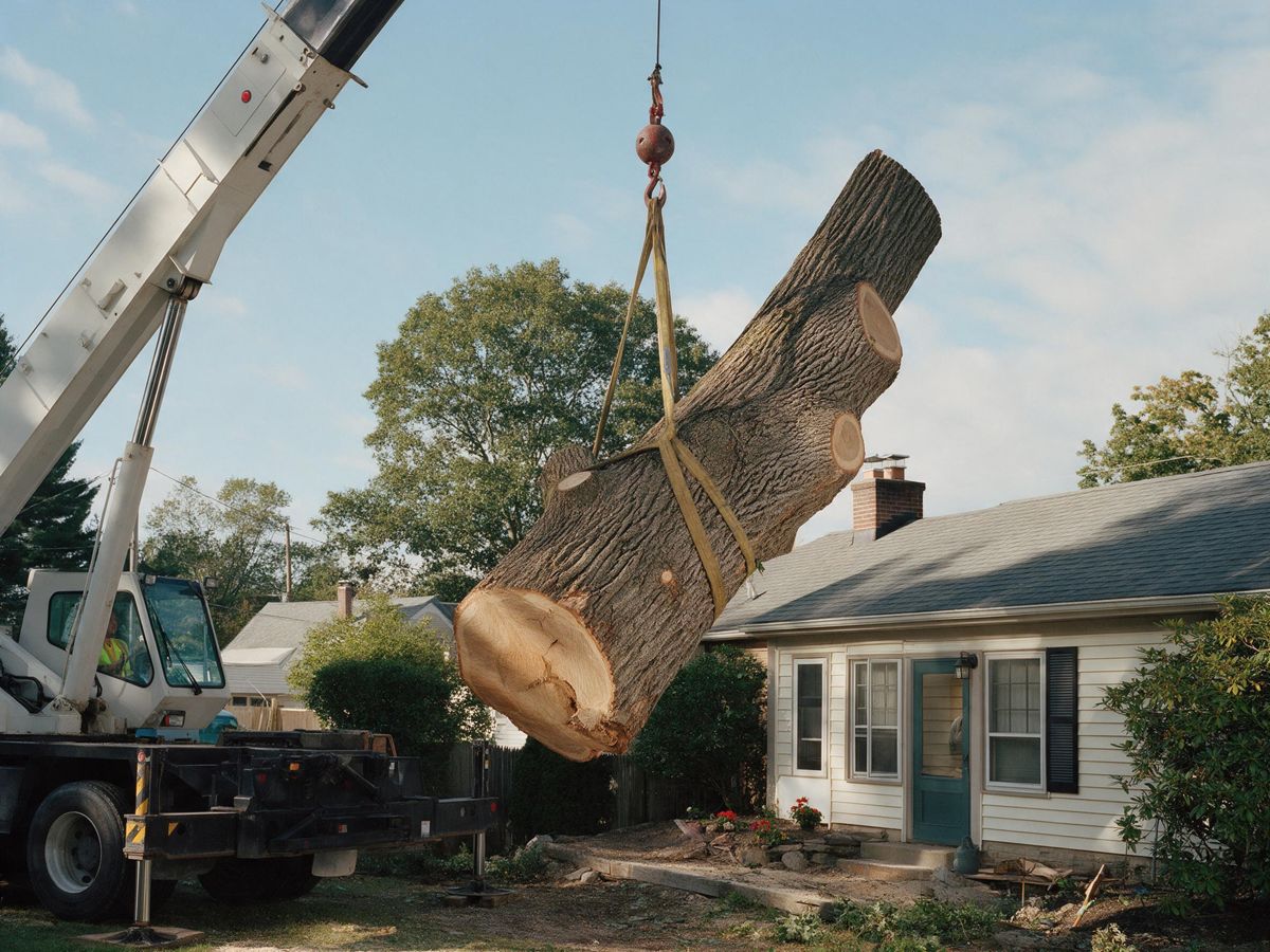 tree removal project in Millbrook, AL